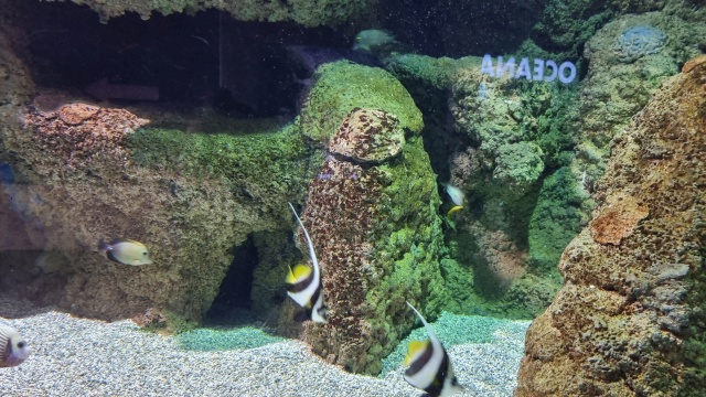 ../images/fotoalbum/lanzarote23/2023-09-18 10.45.14